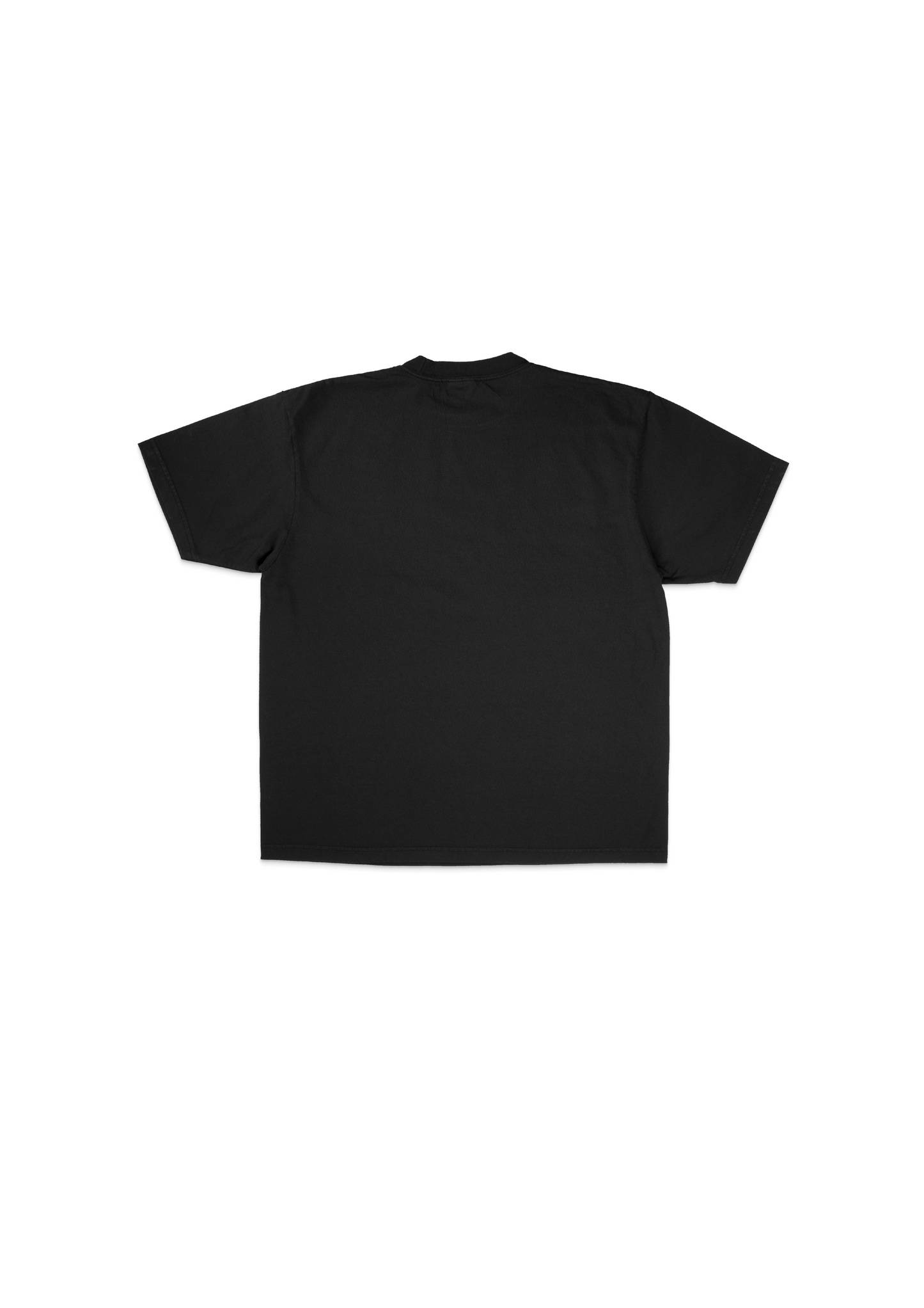Wales Awayday Citrus Tee Black
